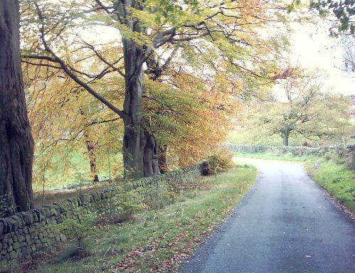 Twiddley Lane, top end.