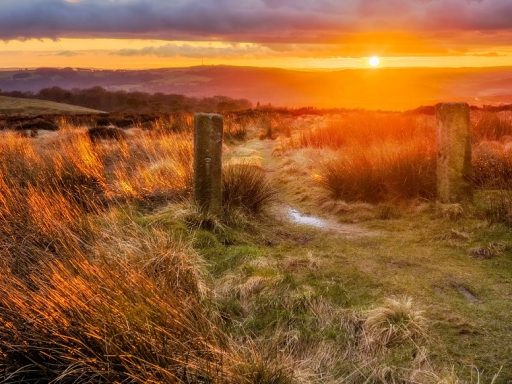 Stunning sunset.